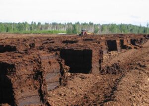 Від державного підприємства до дефіциту: історія торфу в Житомирі