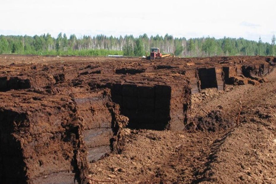 Від державного підприємства до дефіциту: історія торфу в Житомирі